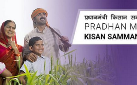 PM-Kisan 20वीं किस्त: लाभ पाने के लिए e-KYC जरूरी, लाखों किसान वंचित हो सकते हैं