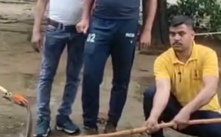 करौली सर्किट हाउस में एडीएम आवास पर सांप मिलने से हड़कंप, सिविल डिफेंस ने किया रेस्क्यू