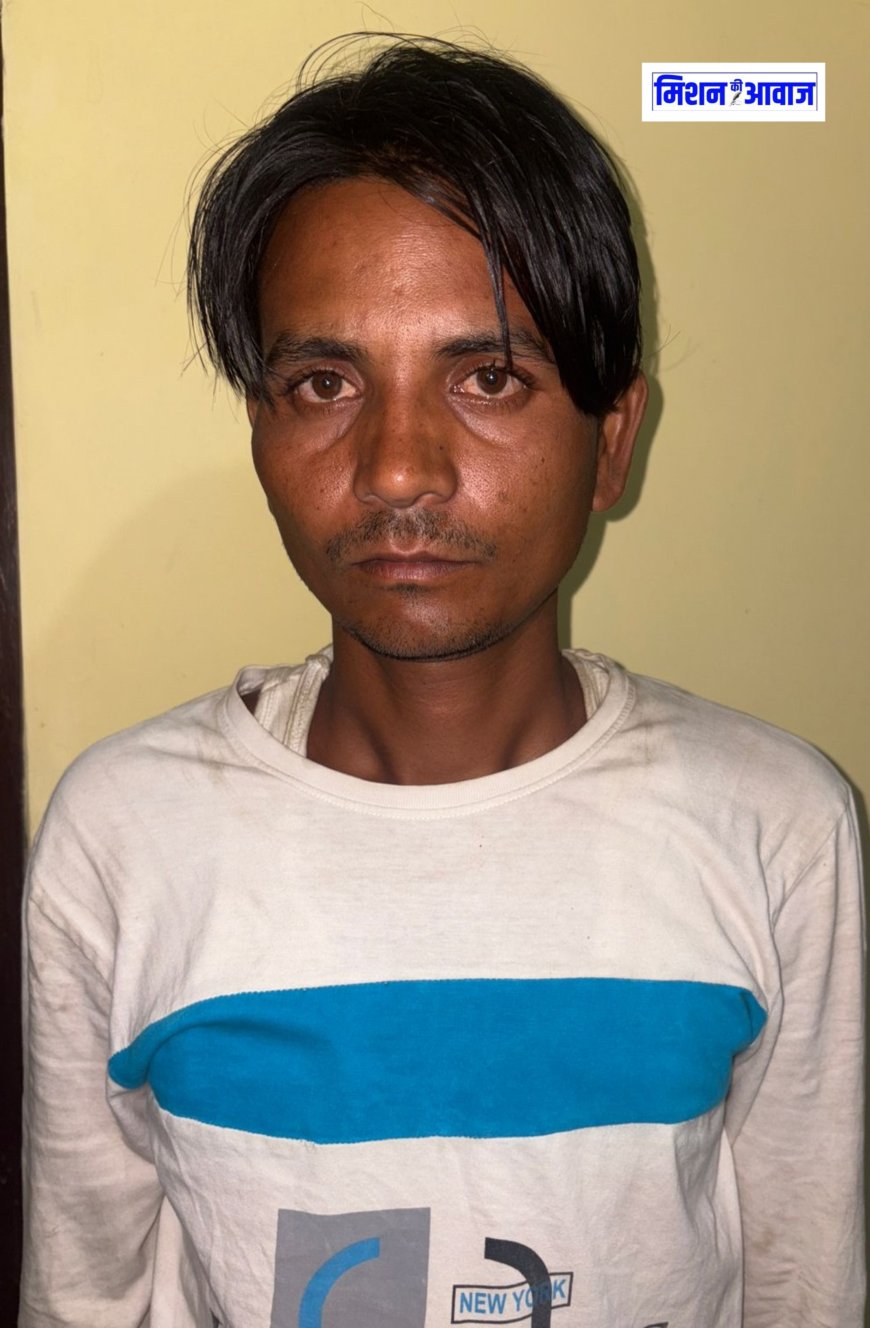 यूपी STF की बड़ी सफलता: अंतरराष्ट्रीय तस्कर चंगुल से 102 दुर्लभ कछुए बरामद