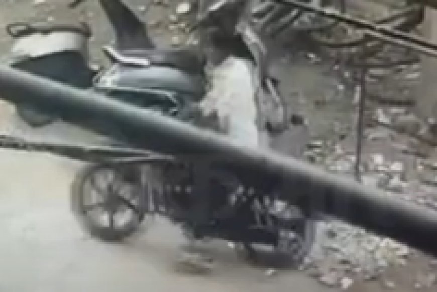 जोधपुर में बाइक चोरों का आतंक, CCTV भी नहीं रोक पा रहे चोर