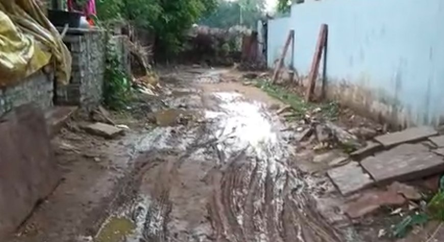 करौली: आज़ादी के 75 साल बाद भी उपेक्षित है तीन बड़ से रोहणी कॉलोनी तक का ऐतिहासिक मार्ग