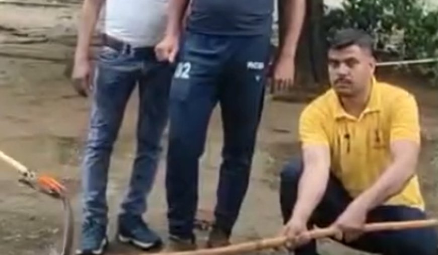 करौली सर्किट हाउस में एडीएम आवास पर सांप मिलने से हड़कंप, सिविल डिफेंस ने किया रेस्क्यू