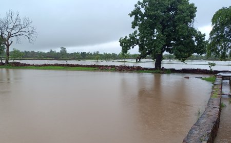 राजस्थान में मूसलधार बारिश से तबाही, कई जिलों में बाढ़ जैसे हालात, अब तक 23 की मौत