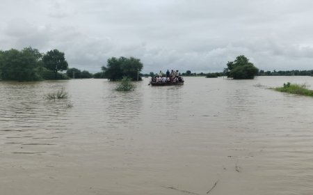 मंडरायल, करौली । चंबल नदी के बढ़ते जलस्तर से क्षेत्र प्रभावित, विधायक हंसराज मीणा ने मौके पर जायजा लिया