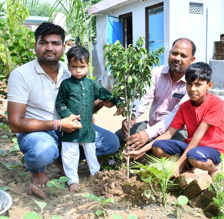 Hindaun City : बेटे के जन्मदिन पर निभाया सामाजिक सरोकार, गांव करई में बांटे 251 पौधे