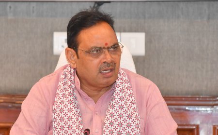 राजस्थान निकाय चुनाव पर असमंजस: हाईकोर्ट के आदेश के खिलाफ सरकार पहुंची डबल बेंच