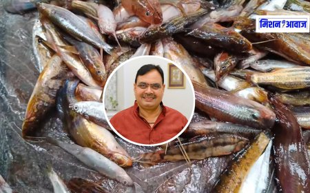 राजस्थान कैबिनेट का बड़ा फैसला: बेवजह मछली मारना अब अपराध
