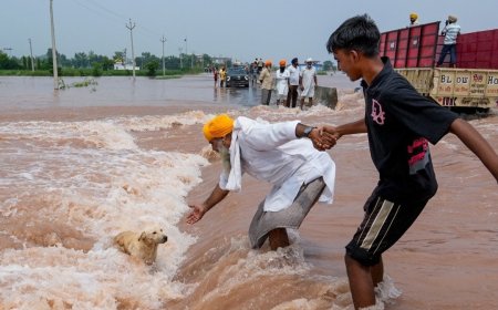 पंजाब में भीषण बाढ़: 30 की मौत, 2.56 लाख से अधिक लोग प्रभावित