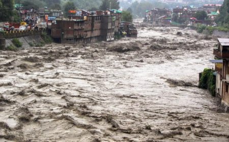 Himachal Pradesh : 326 मौतें, राज्य आपदा प्रभावित घोषित, बारिश ने तोड़ा 76 साल का रिकॉर्ड