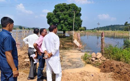 सपोटरा विधायक हंसराज मीना ने आडाडूंगर में जलभराव से क्षतिग्रस्त फसलों का किया निरीक्षण