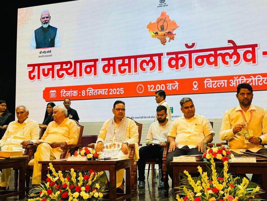 किरोड़ी लाल मीणा बोले - 'मसाला तो इनके पास है, मेरे पास सिर्फ कागज'