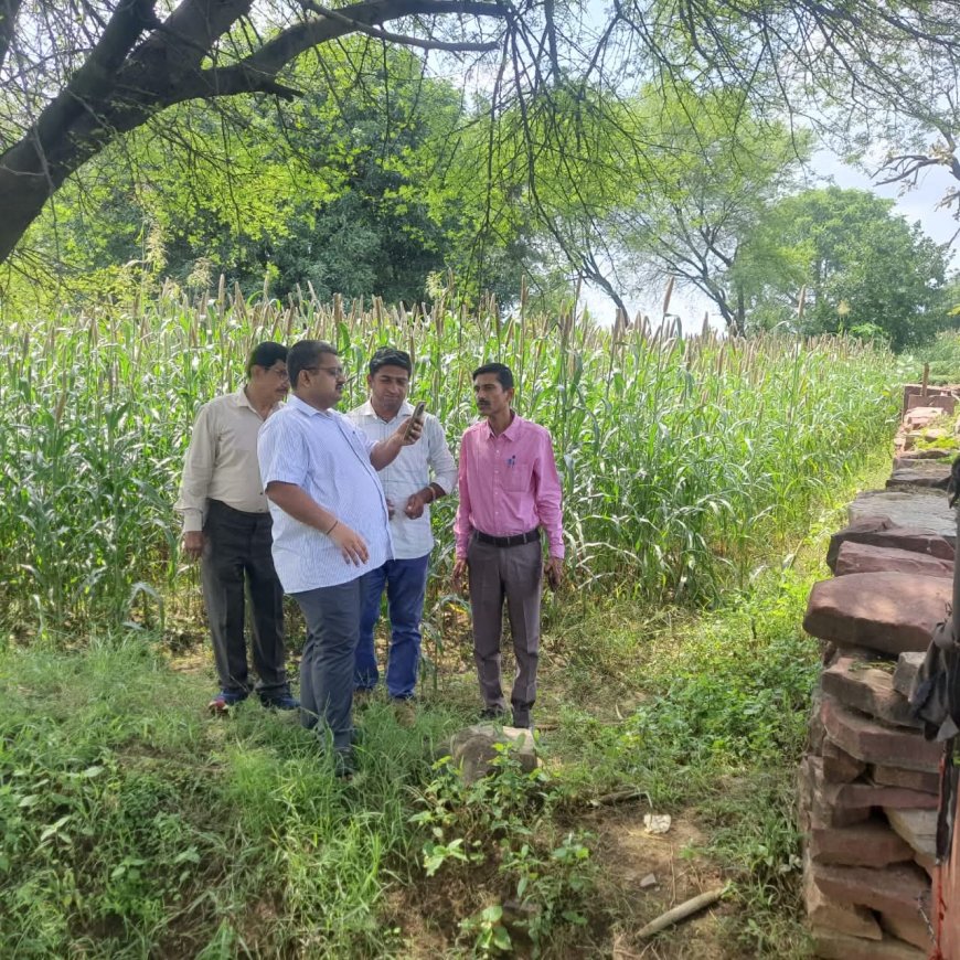 Karauli : ग्राम पंचायत ससेडी में फसल गिरदावरी का निरीक्षण कर जमीनी स्तर पर लिया जायजा