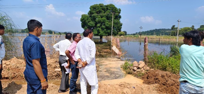 सपोटरा विधायक हंसराज मीना ने आडाडूंगर में जलभराव से क्षतिग्रस्त फसलों का किया निरीक्षण