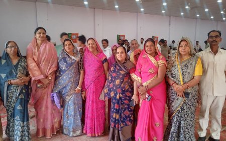 करौली इन मैरिज गार्डन में भाजपा का आत्मनिर्भर भारत एवं जीएसटी सम्मेलन आयोजित