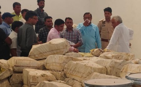 खाद-बीज की गुणवत्ता पर मंत्री का सख्त रूख: गंगापुर सिटी में कृषि मंत्री ने छापे मारे