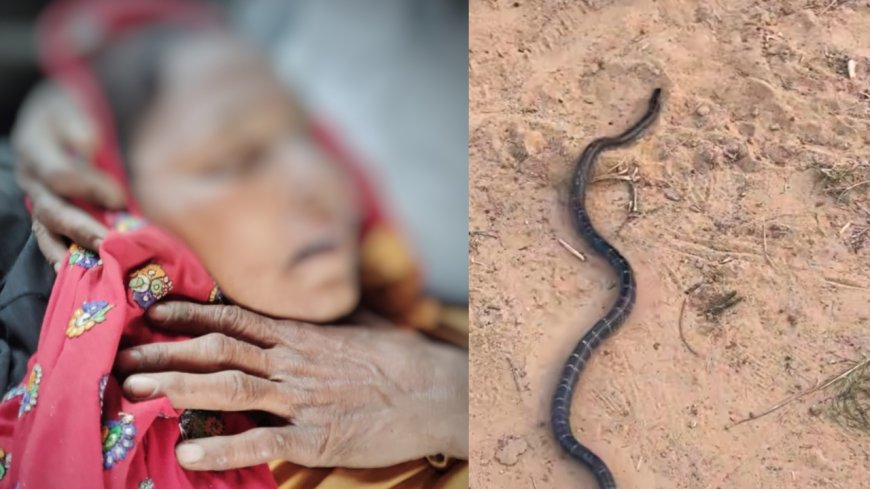 झाड़-फूंक के चक्कर में गई महिला की जान, समय पर इलाज मिलता तो बच सकती थी जिंदगी