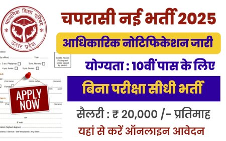Chaprasi Bharti 2025: 10वी पास चपरासी भर्ती के फॉर्म भरना शुरू, जल्दी आवेदन करें