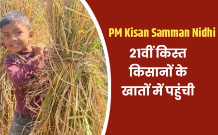 PM Kisan Samman Nidhi की 21वीं किस्त किसानों के खातों में ट्रांसफर, अगर राशि नहीं आई हो, जानें क्या करें