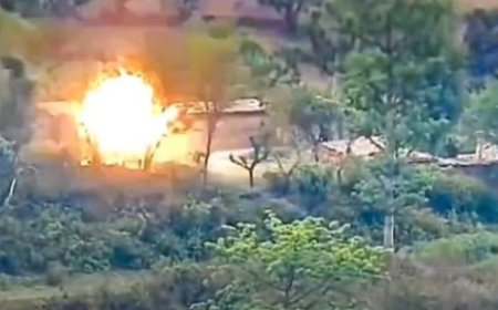 पाकिस्तान ने चार दिन की झड़प में दिखाया दबदबा, चीनी हथियारों ने बढ़ाया प्रभाव