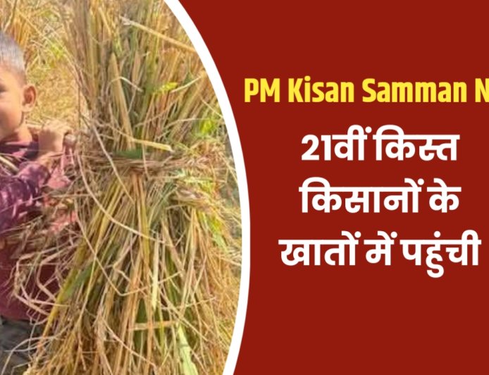 PM Kisan Samman Nidhi की 21वीं किस्त किसानों के खातों में ट्रांसफर, अगर राशि नहीं आई हो, जानें क्या करें