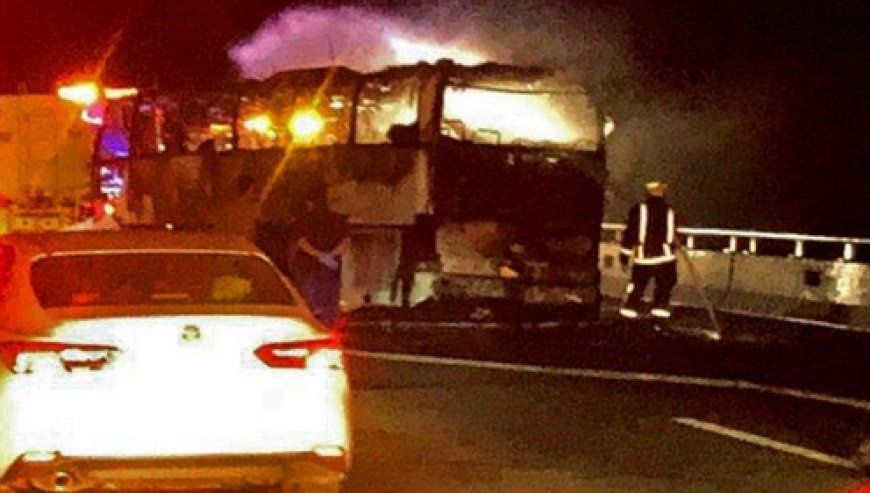 पवित्र यात्रा पर टूटा कहर: सऊदी अरब में बस और टैंकर की टक्कर, 45 भारतीयों की दर्दनाक मौत