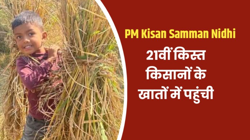 PM Kisan Samman Nidhi की 21वीं किस्त किसानों के खातों में ट्रांसफर, अगर राशि नहीं आई हो, जानें क्या करें