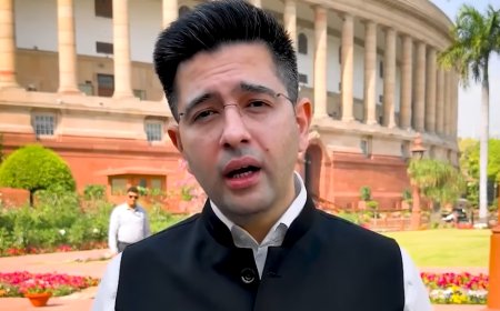 AAP और राघव चड्ढा विवाद: पार्टी ने बोला “मोदी के खिलाफ बोलने से डरते हैं”