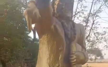 झांसी के करगुआं गांव में बाबा साहेब आंबेडकर की प्रतिमा क्षतिग्रस्त, लोगों में आक्रोश