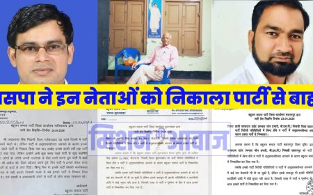 BSP में लगातार कार्रवाई, कई नेताओं का निष्कासन और सोशल मीडिया पर बहस