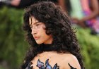 Met Gala 2026: डेब्यू मैच में ओडेसा एज़ियन ने खुद किया अपना मेकअप और हेयरस्टाइल; जानें क्यों नहीं ली एक्सपर्ट्स की मदद