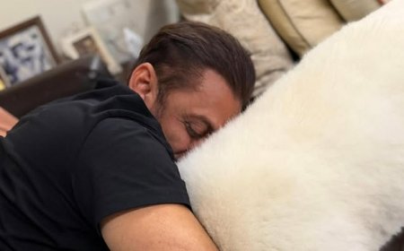 Salman Khan 'My Sukh': सलमान खान ने अपने पालतू डॉग के साथ साझा किया दिल जीतने वाला पल, फैंस बोले- 'ये है असली सुख'