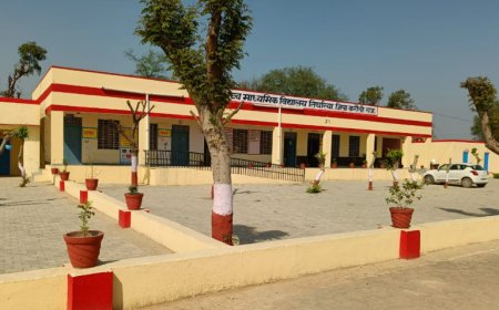 शिक्षा के क्षेत्र में मिसाल: राजकीय उच्च माध्यमिक विद्यालय तिघरिया की सूरत बदलने वाले प्रधानाचार्य गोविंद सिंह गुर्जर की प्रेरणादायी कहानी