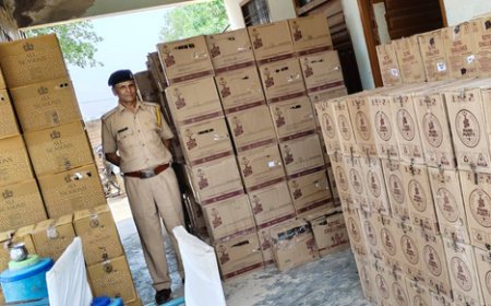 आबकारी विभाग का 'सर्जिकल स्ट्राइक': उदयपुर और हनुमानगढ़ में 1.25 करोड़ की अवैध शराब जब्त, गुजरात जा रही थी खेप