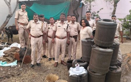 राजस्थान आबकारी विभाग का 'क्लीन स्वीप' अभियान: 12 दिनों में 1158 केस दर्ज, 3.33 लाख लीटर वाॅश नष्ट