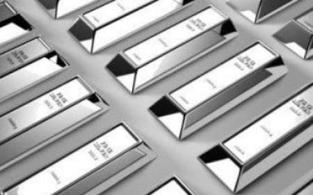 भारत सरकार का बड़ा फैसला: दो विशेष प्रकार के चांदी के बार (Silver Bars) के आयात पर तत्काल प्रभाव से रोक; प्रतिबंधित श्रेणी में डाला