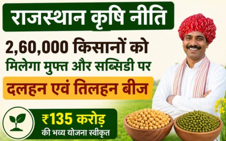 राजस्थान कृषि नीति: २.६० लाख किसानों को मुफ्त और रियायती दरों पर मिलेंगे दलहन-तिलहन के बीज; ₹१३५ करोड़ की बड़ी योजना को मंजूरी