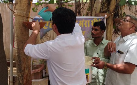 भीषण गर्मी में बेजुबान पक्षियों के लिए मानवीय पहल; जिला कलक्टर, एसपी और एडीएम ने कलेक्ट्रेट परिसर में बांधे परिंडे