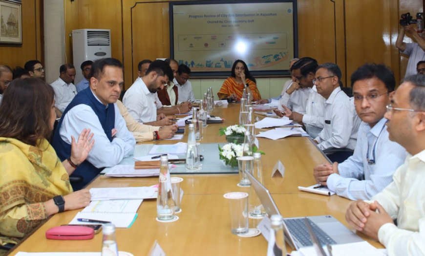 राजस्थान: 45 दिनों में 43 हजार घरों को मिलेगा डीपीएनजी कनेक्शन, मुख्य सचिव ने दिए 'एलपीजी फ्री जोन' बनाने के निर्देश