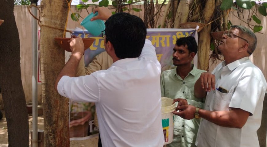 भीषण गर्मी में बेजुबान पक्षियों के लिए मानवीय पहल; जिला कलक्टर, एसपी और एडीएम ने कलेक्ट्रेट परिसर में बांधे परिंडे